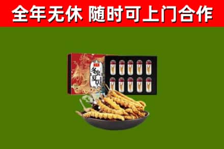 漳州回收冬虫夏草价格
